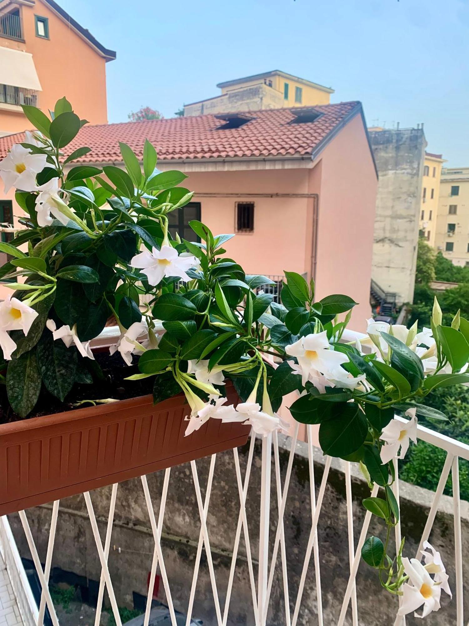 Casa Citro Apartment Salerno